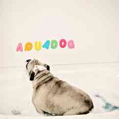 AquaDogCover1